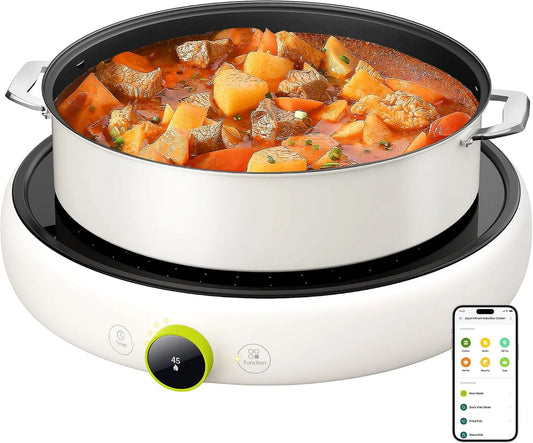 TOKIT Placa de indução, 1 lareira, 2100 W, mesa de cozinha de indução, portátil, Wi-Fi, OLED, camping, WiFi & Mi Home App, Container Detection